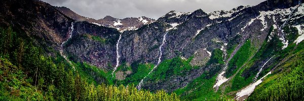 Góry, Park Narodowy Glacier, Jezioro Avalanche Lake, Las, Stan Montana, Stany Zjednoczone