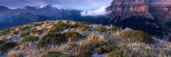 Kępki, Kanion de Anisclo, Hiszpania, Trawa, Góry Pireneje, Park Narodowy Ordesa y Monte Perdido