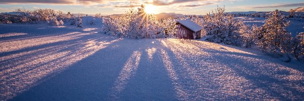 Drzewa, Promienie słońca, Dom, Zima