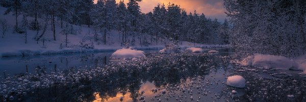Norwegia, Drzewa, Ringerike, Jezioro, Zima