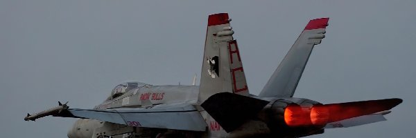 Dopalacze, Hornet, F/A-18