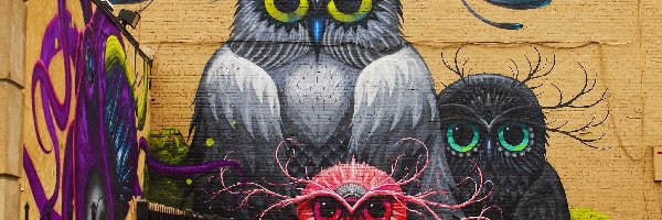 Sowy, Street art, Mural, Kolorowe