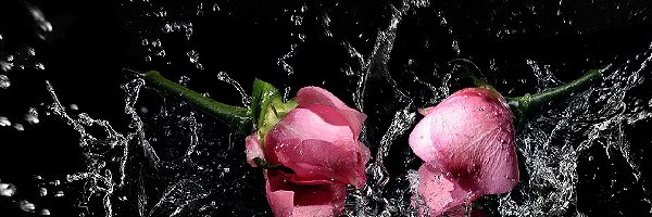 Woda, Róże