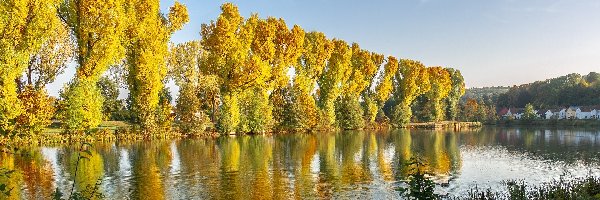 Drzewa, Kaczki, Rzeka, Jesień