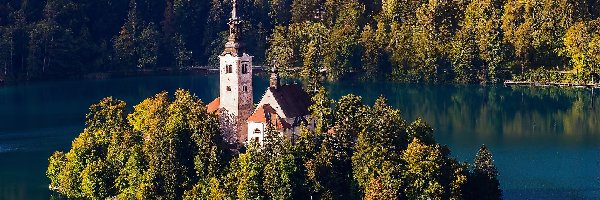 Drzewa, Wyspa Blejski Otok, Kościół Zwiastowania Marii Panny, Jezioro Bled, Słowenia, Las, Jesień