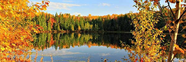 Drzewa, Odbicie, Jesień, Jezioro