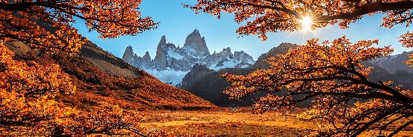 Argentyna, Szczyt Fitz Roy, Gałęzie, Drzewa, Patagonia, Promienie słońca, Jesień, Góry Andy