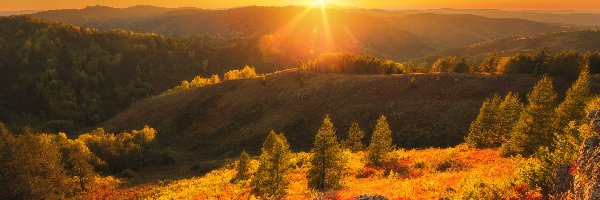Drzewa, Promienie słońca, Rosja, Ałtaj, Góry Ałtaj, Krzewy, Rezerwat Tigirek, Jesień