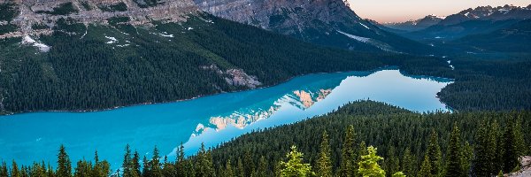 Kanada, Jezioro Peyto Lake, Park Narodowy Banff, Lasy, Góry Canadian Rockies