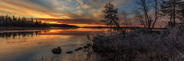 Finlandia, Drzewa, Szuwary, Zachód słońca, Rzeka Jerisjoki, Miejscowość Muonio, Kamienie