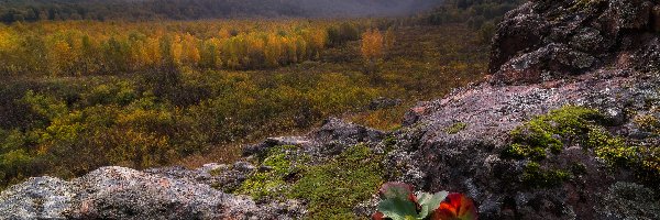 Skały, Jesień, Mgła, Skały, Góry Tigireckie, Rosja, Republika Ałtaju, Lasy, Rośliny