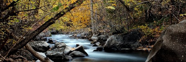 Rzeka, Kamienie, Las, Jesień