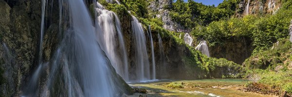 Chorwacja, Drzewa, Wodospady, Park Narodowy Jezior Plitwickich, Roślinność