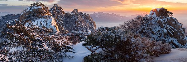 Roślinność, Zima, Mgła, Góra Dobongsan, Korea Południowa, Park Narodowy Bukhansan, Drzewa, Chmury, Skały, Góry, Wschód słońca
