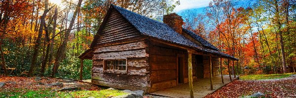 Jesień, Drzewa, Dom, Park Narodowy Great Smoky Mountains, Stany Zjednoczone, Liście, Promienie słońca