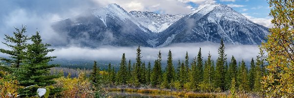 Góry, Park Narodowy Banff, Drzewa, Chmury, Jezioro Vermilion, Pasmo Sundance Range, Mgła, Kanada