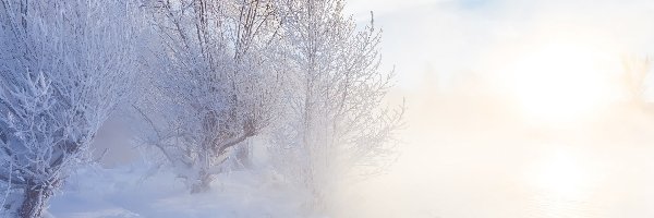 Zima, Droga, Drzewa, Jezioro, Mgła