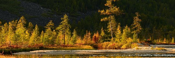 Drzewa, Piasek, Rzeka, Jesień