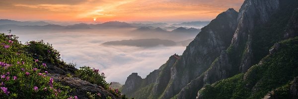 Wschód słońca, Prowincja Jeolla Południowa, Korea Południowa, Park Narodowy Wolchulsan, Góry Wolchulsan, Kwiaty, Mgła