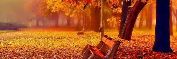 Jesień, Ławki, Drzewa, Aleja, Park, Mgła, Liście