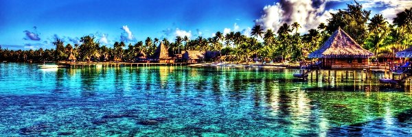 Tahiti, Domki, Palmy, HDR, Wybrzeże, Morze