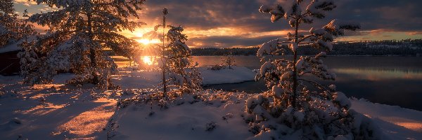 Chmury, Zima, Jezioro, Ringerike, Norwegia, Wschód słońca, Drzewa
