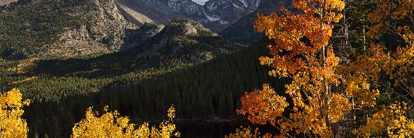 Jesień, Jezioro Bear Lake, Stany Zjednoczone, Stan Kolorado, Park Narodowy Gór Skalistych, Drzewa, Chmury, Góry Skaliste