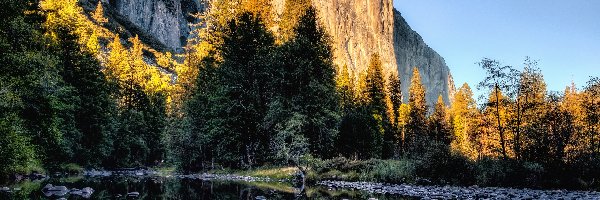 Drzewa, Park Narodowy Yosemite, Góry, Kalifornia, Stany Zjednoczone, Kamienie, Rzeka