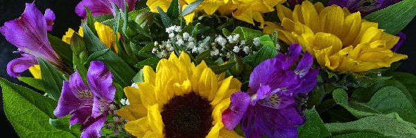 Kwiaty, Słoneczniki ozdobne, Alstremeria, Bukiet
