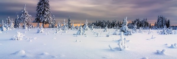 Rosja, Zima, Ural, Chmury, Drzewa
