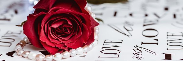 Napisy, Korale, Perły, Love, Róża, Kwiat