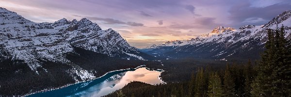 Lasy, Jezioro Peyto Lake, Góry Canadian Rockies, Zima, Park Narodowy Banff, Kanada