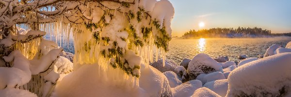 Drzewa, Jezioro Ładoga, Rosja, Republika Karelii, Ośnieżone, Sople, Wschód słońca, Zima