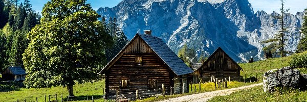 Góry, Styria, Drzewa, Droga, Gmina Johnsbach, Szczyt Tamischbachturm, Domy, Austria