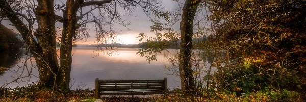 Kraina Lake District, Anglia, Drzewa, Ławka, Kumbria, Jezioro Coniston Water, Jesień, Wielka Brytania