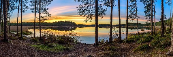 Jezioro, Drzewa, Wschód słońca