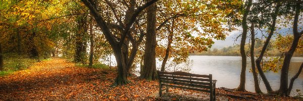 Ławka, Anglia, Jesień, Drzewa, Lake District, Park, Ścieżka, Wielka Brytania, Kumbria, Jezioro Coniston Water