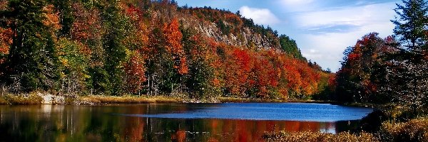 Jezioro, Adirondack Park, Jesień, Stan Nowy Jork, Stany Zjednoczone, Góry, Drzewa