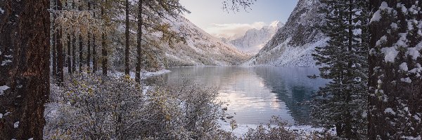 Śnieg, Zima, Góry Ałtaj, Republika Ałtaju, Rosja, Drzewa, Jezioro Szawlińskie