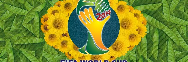 Brasil, Brazylia, 2014, Świata, Mistrzostwa
