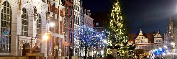 Miasto, Noc, Gdańsk, Świąteczne, Choinka
