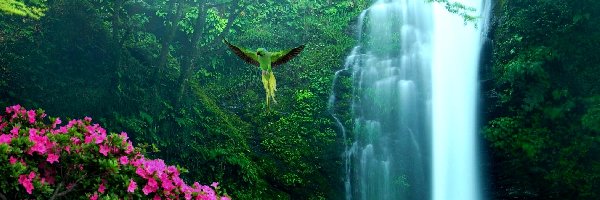 Wodospad, Papuga, Kwiaty, Las