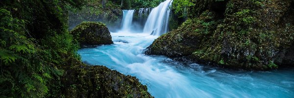 Wodospad Spirit Falls, Hrabstwo Skamania, Rezerwat przyrody Columbia River Gorge, Stan Waszyngton, Stany Zjednoczone, Rzeka Little White Salmon River, Las