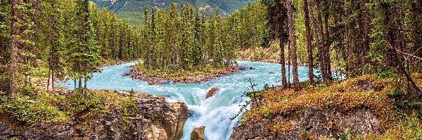 Skały, Rzeka Sunwapta, Kanada, Prowincja Alberta, Park Narodowy Jasper, Góry, Drzewa, Wodospad Sunwapta Falls