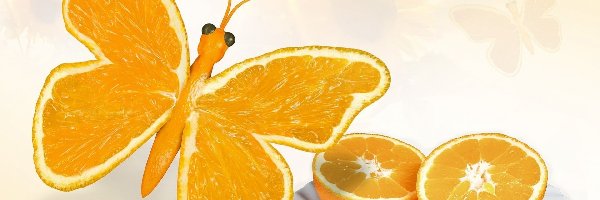 Motyl, Pomarańcze