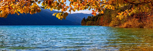Drzewa, Gałęzie, Austria, Jesień, Liście, Góry, Alpy Gailtalskie, Jezioro Weissensee