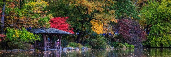 Park, Kolorowe, Staw, Jesień, Drzewa