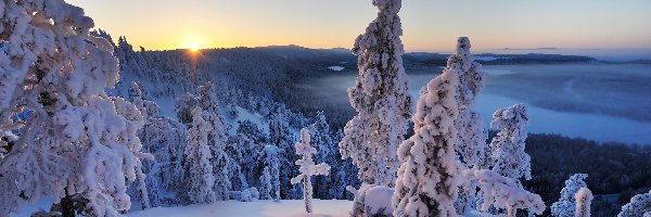 Kuusamo, Lasy, Zachód Słońca, Finlandia, Góry, Zima