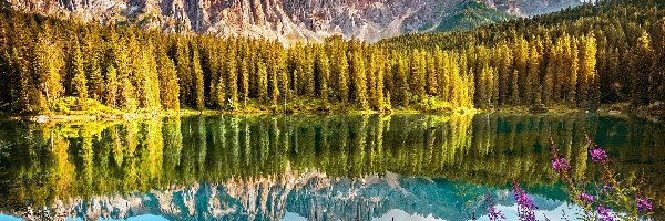 Jezioro Karersee, Góry, Odbicie, Chmury, Dolomity, Las, Drzewa, Włochy