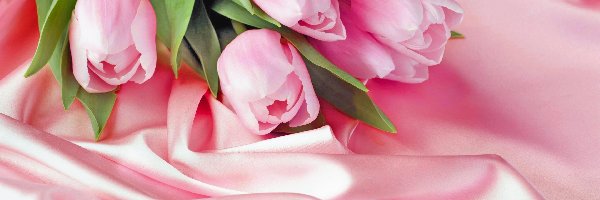 Atłas, Tulipany, Różowe